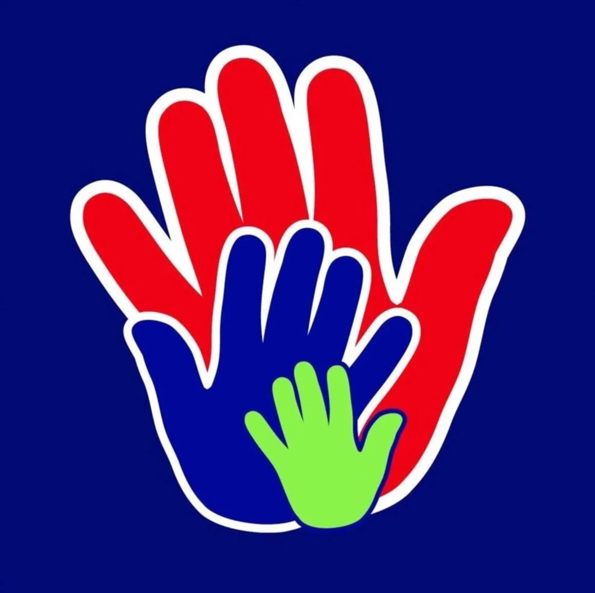 PARTIDO POLITICO PERU ACCION